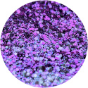 BROKAT SYPKI HOLOGRAFICZNY CHAMELEON MIX CHUNKY GLITTER 10 g